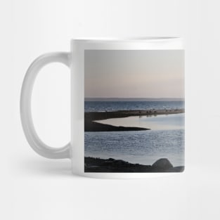 Sandbar At Dusk Mug